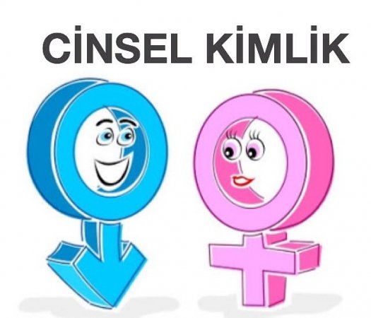 Cinsel Kimlik ve Cinsel Gelişim